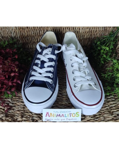 Zapatillas Lona Andy-Z AW0105-02