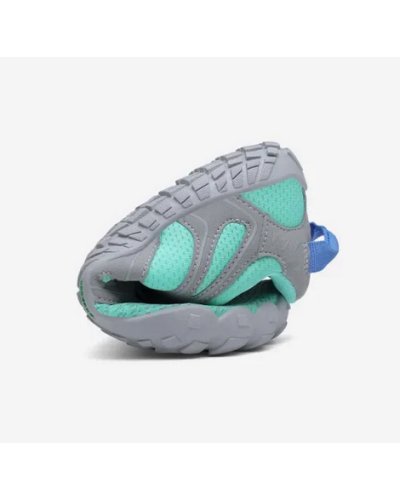 Saguaro Vitality IV